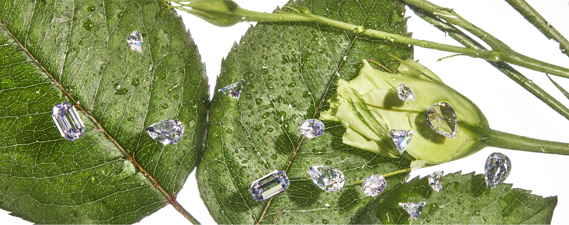 Fine Jewelry Stones by Preciosa